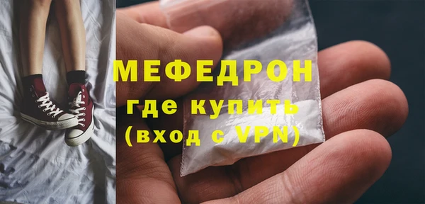 молекула духа Богородицк