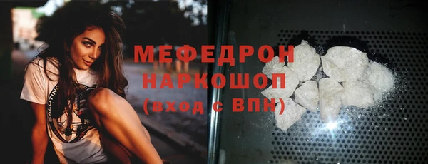 молекула духа Богородицк