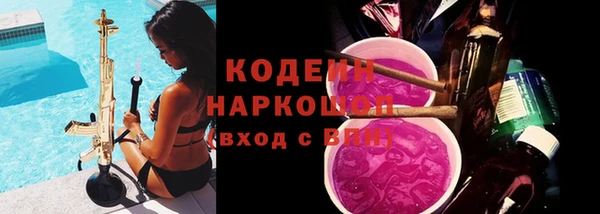 молекула духа Богородицк