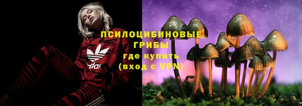 марки lsd Богородск