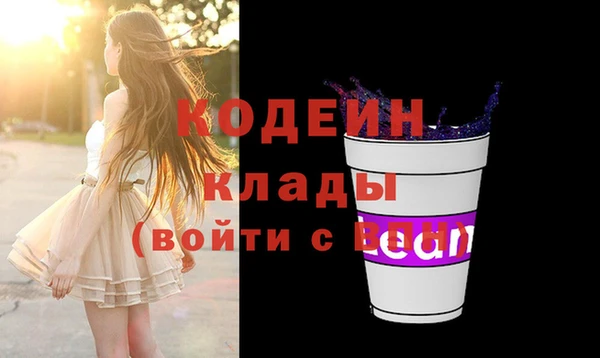 молекула духа Богородицк