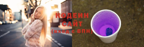 молекула духа Богородицк