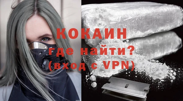 молекула духа Богородицк