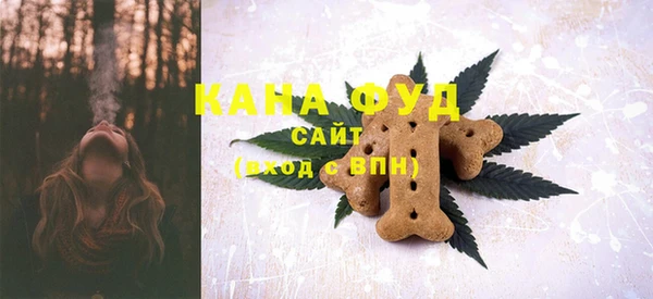 молекула духа Богородицк
