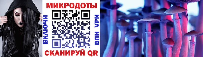 где можно купить Оренбург Псилоцибиновые грибы Psilocybe